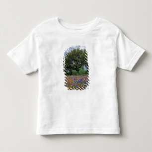 USA, Texas, Marble Falls Penselborste och T Shirt