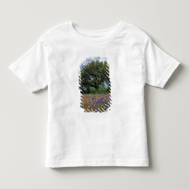 USA, Texas, Marble Falls Penselborste och T Shirt (Framsida)