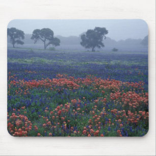 USA, Texas, nära Lytle Fog, ekar, blå klockor Musmatta