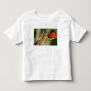 USA, Texas, Rio Grande Valley, McAllen. Parad Tee Shirt