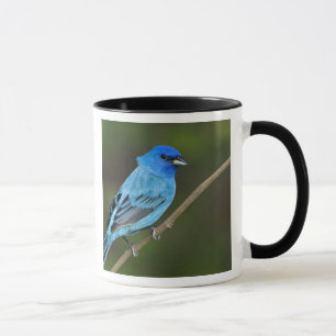 USA, Texas, South Padre Island Mugg