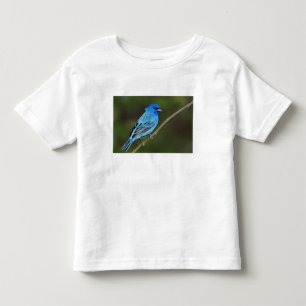 USA, Texas, South Padre Island Tee