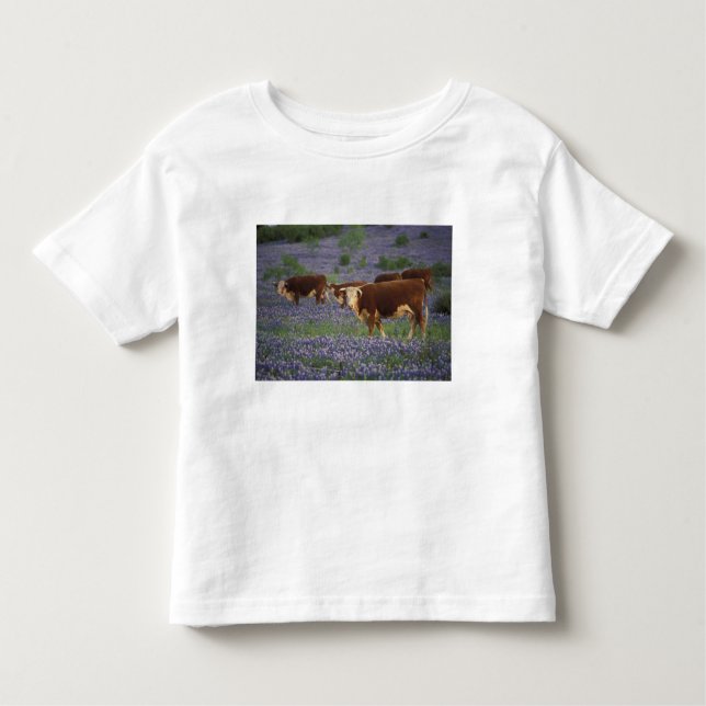 USA, Texas, Texas Backe Land, Hereford T Shirt (Framsida)