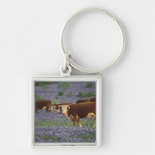 USA, Texas, Texas Hill Country, Hereford Fyrkantig Silverfärgad Nyckelring