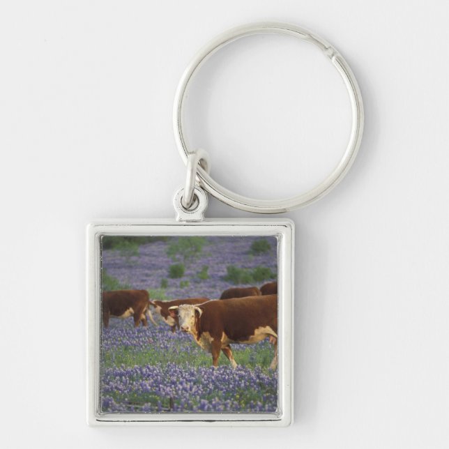 USA, Texas, Texas Hill Country, Hereford Fyrkantig Silverfärgad Nyckelring (Framsidan)