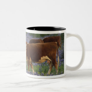 USA, Texas, Texas Hill Country, Hereford Två-Tonad Mugg