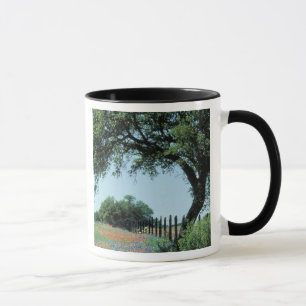 USA, Texas, Texas Hill Country Paintbrush och Mugg