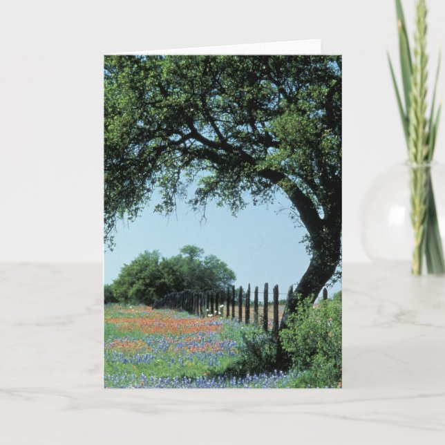 USA, Texas, Texas Hill Country Pensel och Kort (Framsida)