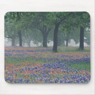 USA, Texas, Texas Hill Country Vidsträckt åker Musmatta