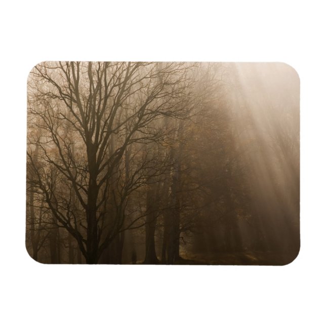 USA Underbar Smoky Mountain NP Tennessee träd i Magnet (Horisontell)