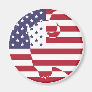 USA United Stater Buffalo Bison American National Magnet