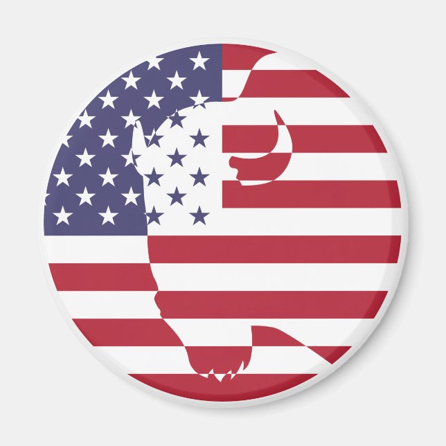 USA United Stater Buffalo Bison American National Magnet (Framsidan)