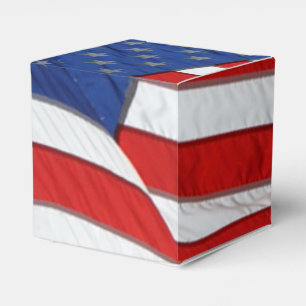 USA United Stater Flagga American Patriotic Design Presentaskar