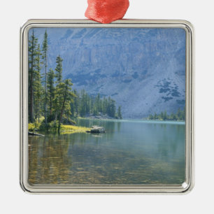 USA, Utah, Ashley National Forest, High Uintas Julgransprydnad Metall
