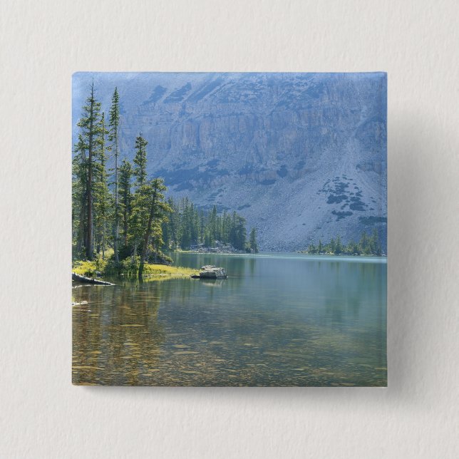 USA, Utah, Ashley National Forest, High Uintas Knapp (Framsida)