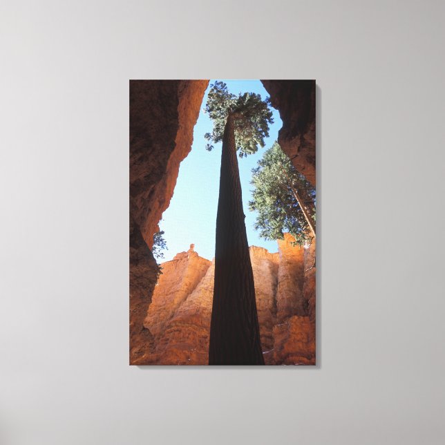 USA, Utah, Bryce Canyon National Park. Hög Canvastryck (Framsida)