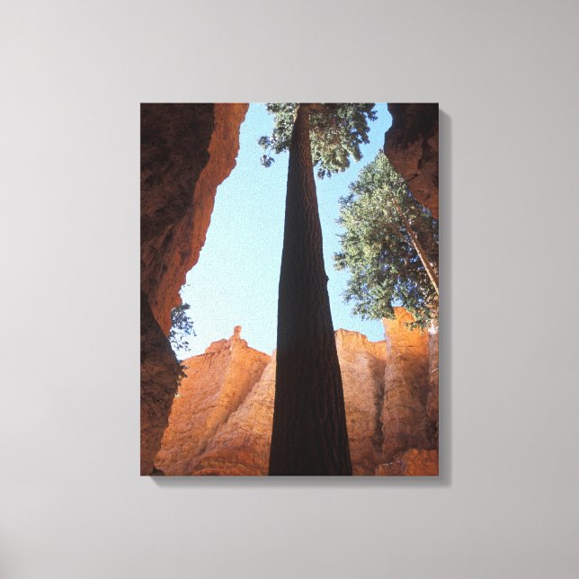 USA, Utah, Bryce Canyon National Park. Hög Canvastryck (Framsida)