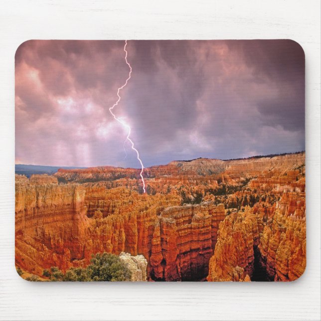 USA, Utah, Bryce Canyon National Park. Musmatta (Framsidan)