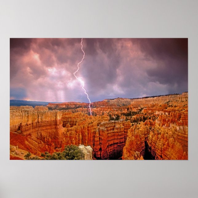 USA, Utah, Bryce Canyon National Park. Poster (Framsidan)