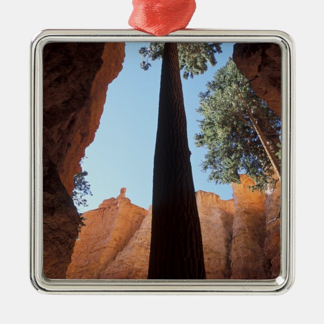 USA, Utah, Bryce Canyon National Park. Tall Julgransprydnad Metall (Framsidan)