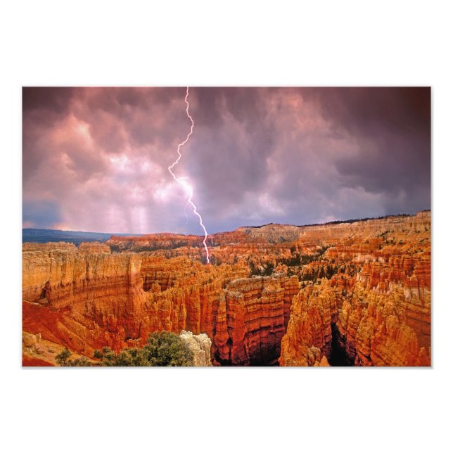 USA, Utah, Bryce Canyon nationalpark. Fototryck (Framsidan)