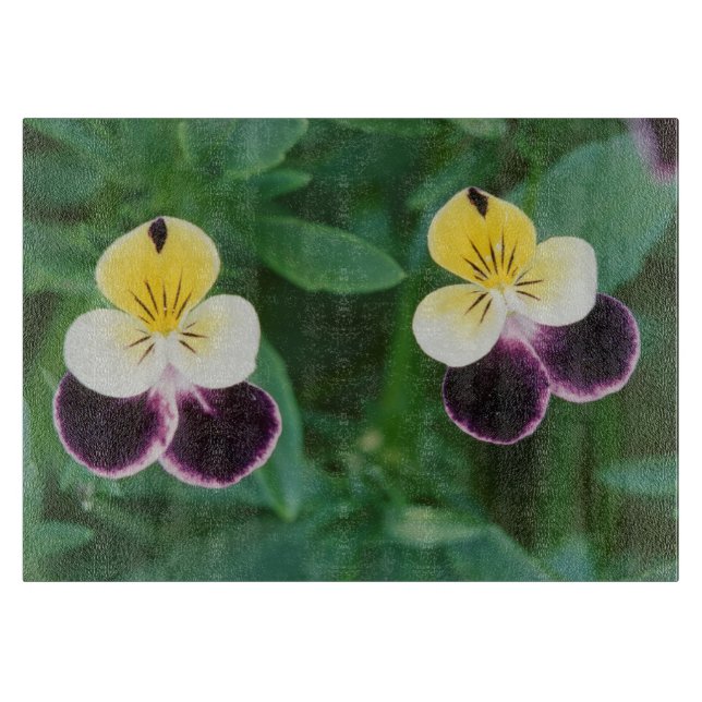 USA, Utah, Cache Valley, Johnny Jump Up (Framsidan)