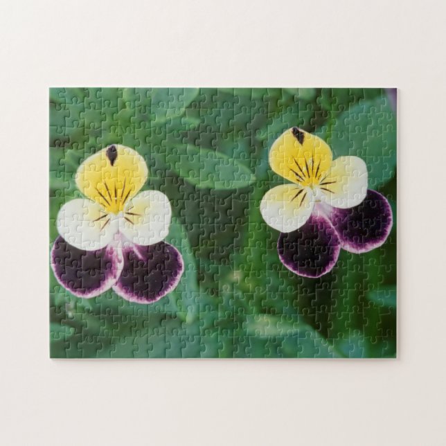 USA, Utah, Cache Valley, Johnny Jump Up Pussel (Horisontell)