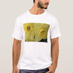 USA, Utah, Cache Valley Narcisser T Shirt