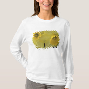 USA, Utah, Cache Valley Narcisser Tee Shirt