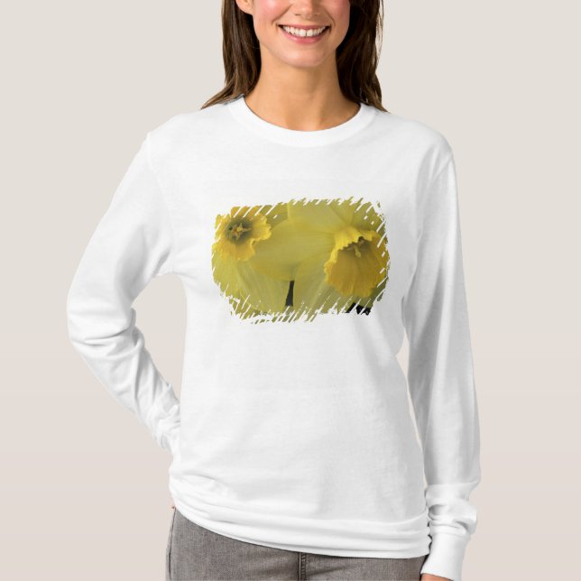 USA, Utah, Cache Valley Narcisser Tee Shirt (Framsida)