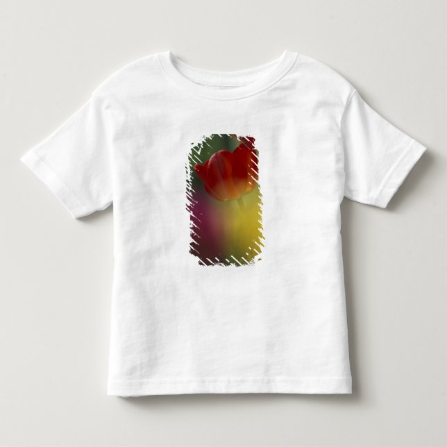 USA, Utah, Cache Valley Tulpaner i en trädgård T Shirt (Framsida)