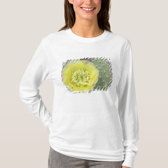 USA, Utah, Canyonlands, NP, Desert Prickly Pear Tee Shirt (Framsida)