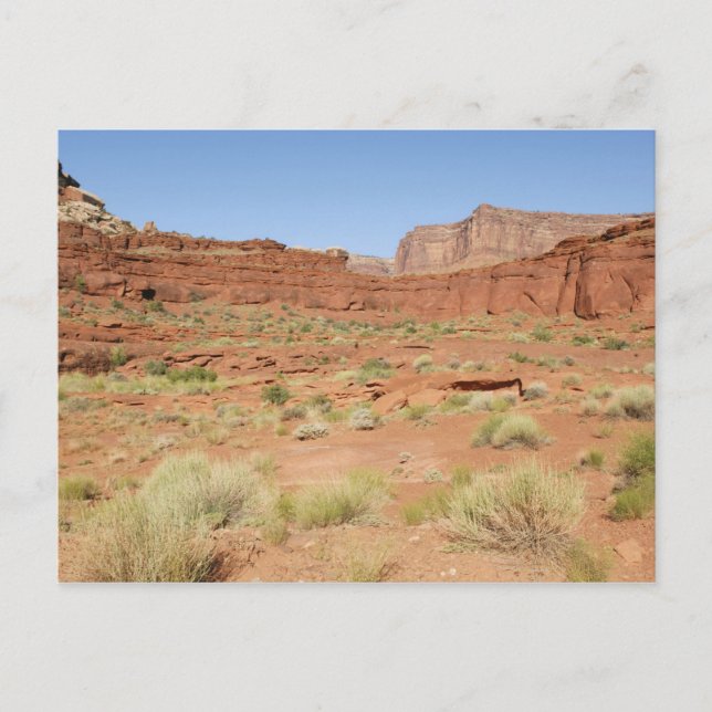 USA, Utah, Canyonlands NP, Shafer Canyon Vykort (Framsida)