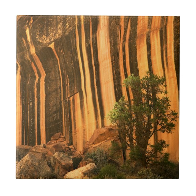 USA, Utah, Capitol Reef nationalpark Kakelplatta (Framsidan)