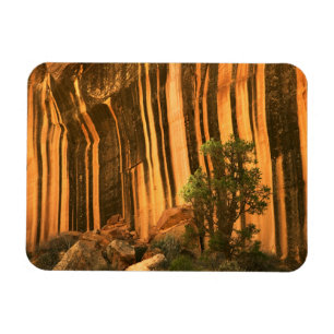 USA, Utah, Capitol Reef nationalpark Magnet