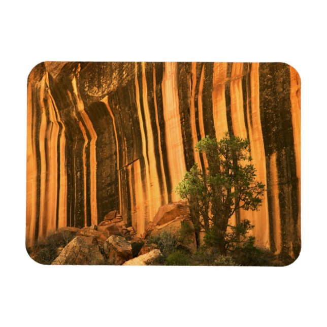 USA, Utah, Capitol Reef nationalpark Magnet (Horisontell)