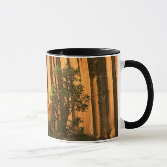 USA, Utah, Capitol Reef nationalpark Mugg (Höger)