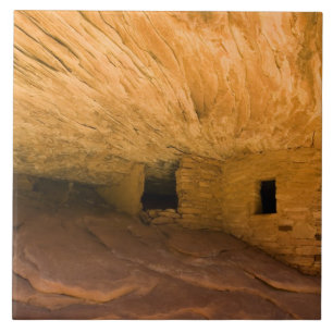 USA, Utah, Cedar Mesa, Mule Canyon. Sandsten Kakelplatta