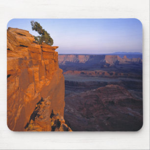 USA, Utah, Dead Horse Point SP. Sen ljus belysning Musmatta