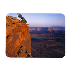 USA, Utah, Dead Horse Point SP. Sen ljust blir Magnet