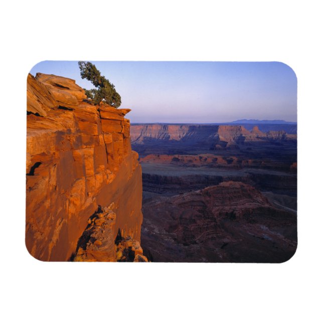 USA, Utah, Dead Horse Point SP. Sen ljust blir Magnet (Horisontell)
