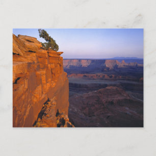 USA, Utah, Dead Horse Point SP. Sen ljust slår om Vykort