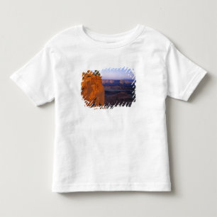USA, Utah, Dead Horse Point SP. Sen ljuständer T-shirt