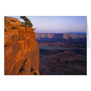 USA, Utah, Dead Horse Point SP. Sen ljusturn Hälsningskort