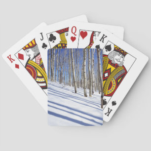 USA, Utah, Dixie National Forest, Aspen Grove Casinokort