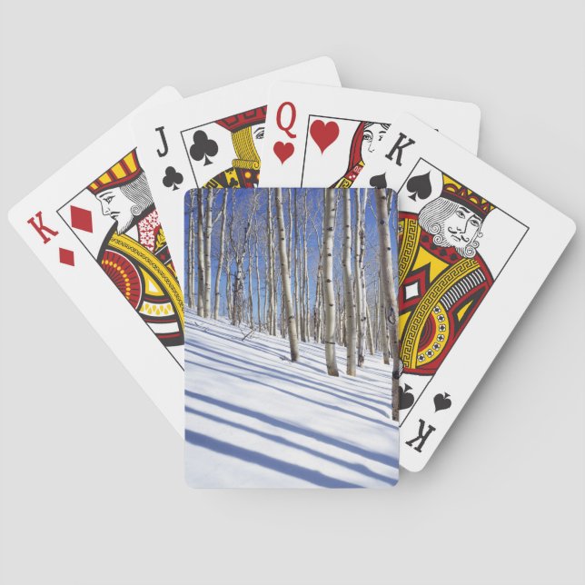 USA, Utah, Dixie National Forest, Aspen Grove Casinokort (Baksidan)