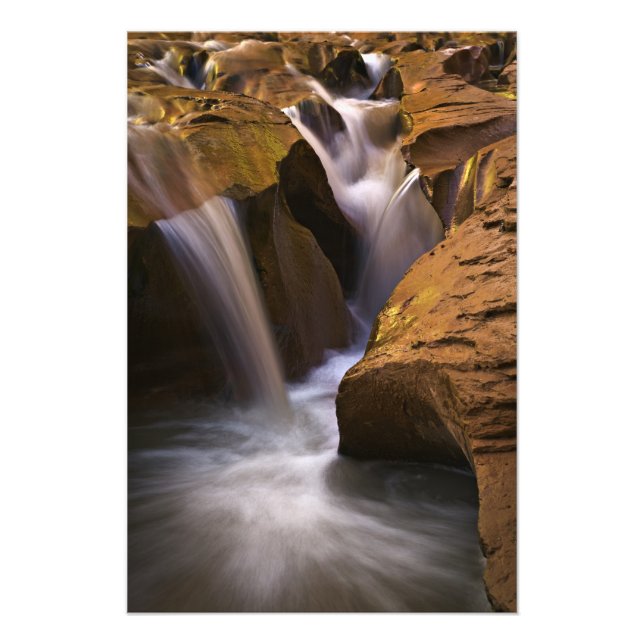 USA, Utah, Escalante Wilderness. Vattenfall i 2 Fototryck (Framsidan)