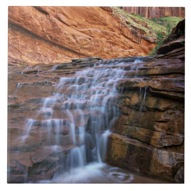 USA, Utah, Escalante Wilderness. Vattenfall i Kakelplatta (Framsidan)
