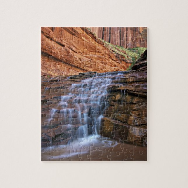 USA, Utah, Escalante Wilderness.  Vattenfall i Pussel (Vertikal)