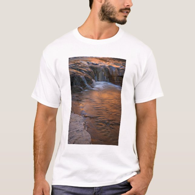 USA, Utah, Escalante Wilderness. Vattenfall i Tee Shirt (Framsida)